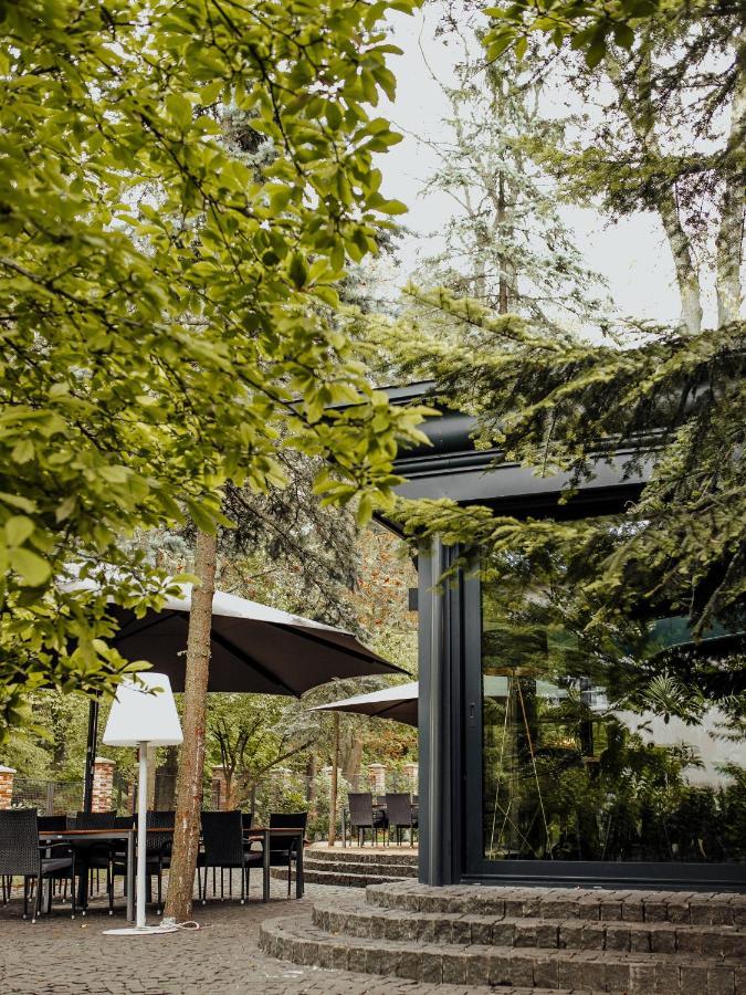 Hotel Lion's Castle Lviv