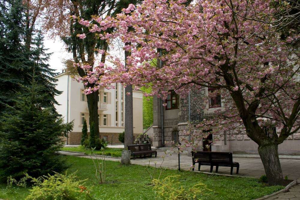 Hotel Lion's Castle Lviv